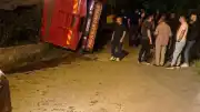 Giresun'da Yaş Çay Yüklü Kamyon Devrildi: Maddi Hasar Meydana Geldi