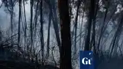 İspanya'nın güneyindeki orman yangınlarında can kaybı 12'ye yükseldi
