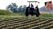 Tarımsal Girdi Maliyetleri Yüzde 30'u Aştı, Üreticiler ve Tüketiciler Risk Altında