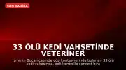 33 Ölü Kedi Vahşetinde Veteriner Hekim H.E. Yeniden Gözaltına Alındı
