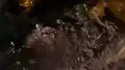 Ardeşen'de Heyelan Nedeniyle Kapanan Köy Yolu Ulaşıma Açıldı