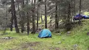 Bolu'da Ormanlık Alana Yıldırım Düşmesi: 3 Yaralı