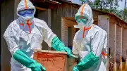 Dünya Sağlık Örgütü'nden Ebola Salgını Uyarısı: 11 Ülke Risk Altında