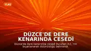 Düzce'de Dere Kenarında Cesedi Bulunan A.C. Cinayetine İlişkin Soruşturmada Şüpheli N.Ö. Yakalandı