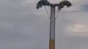 İzmir'de Lunapark Kabusu: Oyuncak Arızaları Vatandaşları Tehlikeye Attı