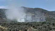 İzmir'in Bayındır İlçesinde Zeytinlik Alanda Yangın Çıktı