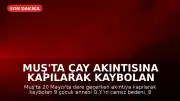 Muş'ta Çay Akıntısına Kapılarak Kaybolan Kadının Cansız Bedeni 8 Gün Sonra Bulundu