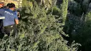 Nevşehir'de Dere Yatağında Ağaca Takılan Zihinsel Engelli Genç Kurtarıldı