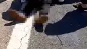 Şanlıurfa'da Kurbanlık Yüklü Kamyonet Devrildi: 1 Kişi Hayatını Kaybetti, 1 Kişi Yaralandı