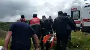 Sivas'ta Mantar Toplarken Ayı Saldırısına Uğrayan Vatandaşın Parmağı Koptu