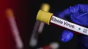 Uganda, Ebola Salgını Nedeniyle Kongo Demokratik Cumhuriyeti Sınırını Kapattı