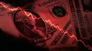 Ultra Zenginler Dolar Ağırlığını Azaltıyor, Yatırımlarını Çeşitlendiriyor