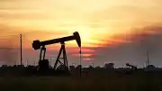 Uluslararası Enerji Ajansı Raporu: Petrol Yatırımları Düşüşte, Alternatif Enerjiye Yönelim Artıyor