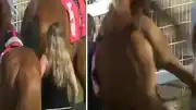 Yarış Atı Ahır Çalışanına Tekme Attı: Hafif Yaralanmayla Kurtuldu