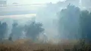 Antalya'da Çalılık Alanda Çıkan Yangın Seralara Ulaşmadan Söndürüldü