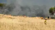 Ayvalık Sakarya Mahallesi'nde Otluk Alanda Yangın Çıktı