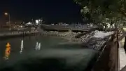 Bakırköy Çırpıcı Deresi Kıyısında Toplu Balık Ölümü Görüldü
