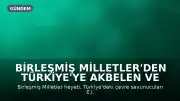 Birleşmiş Milletler'den Türkiye'ye Akbelen ve Marmaris Dosyası Üzerine Uyarı