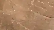 Bursa'nın İnegöl ilçesi dolu ve sağanak yağışla mücadele etti