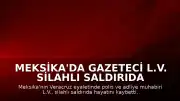 Meksika'da Gazeteci L.V. Silahlı Saldırıda Hayatını Kaybetti