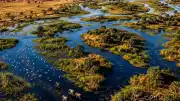 Okavango Nehri, Çöl Ortasında Dev Bir Vaha Oluşturuyor