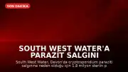 South West Water'a Parazit Salgını Nedeniyle 1.8 Milyon Sterlin Ceza Kesildi