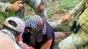 Tunceli'de Kaybolan Alzheimer Hastası 80 Yaşındaki G.Ö. Bulundu
