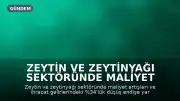 Zeytin ve Zeytinyağı Sektöründe Maliyet ve İhracat Kaygısı: Tariş Zeytin ve Zeytinyağı Birliği Başkanı Fikret Akova: "Devletin minimum bir Avro zeytinyağına destekleme vermesi lazım"