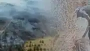 Ankara'da Otluk Alanda Çıkan Yangının Kundaklama Olduğu Ortaya Çıktı