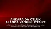 Ankara'da Otluk Alanda Yangın: İtfaiye Ekipleri Müdahale Ediyor
