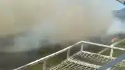 Aydın Kuyucak'ta Orman Yangını Çıktı