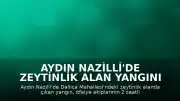 Aydın Nazilli'de Zeytinlik Alan Yangını Kontrol Altına Alındı