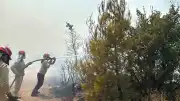 Balıkesir Gömeç'te Orman Yangınına Havadan ve Karadan Müdahale Sürüyor