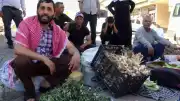 Batman Gercüş'te Doğal Semizotu Hem Şifa Hem Geçim Kaynağı Oldu