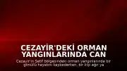 Cezayir'deki Orman Yangınlarında Can Kaybı ve Yaralanma Bildirildi