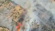Denizli Pamukkale'de Orman Yangını Çıktı
