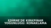 Edirne'de Kırkpınar Yoğunluğu: Konaklama Sorunu Yaşayan Güreşseverler Çadırlara Yöneldi