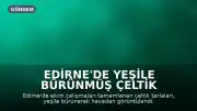 Edirne'de Yeşile Bürünmüş Çeltik Tarlaları Gökyüzünden Görüntülendi