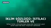 İklim Sözlüğü: İstilacı Türler ve Etkileri