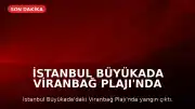 İstanbul Büyükada Viranbağ Plajı'nda Yangın Çıktı