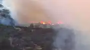 İzmir Bornova'da Orman Yangını Kontrol Altına Alındı
