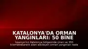 Katalonya'da Orman Yangınları: 50 Bine Yakın Kişi Tahliye Edildi