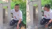 Kırıkhan'da Sahipli Köpek Zehirlenerek Elektrik Direğine Asıldı