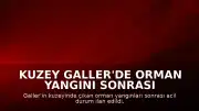 Kuzey Galler'de Orman Yangını Sonrası Acil Durum İlan Edildi