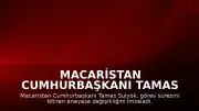 Macaristan Cumhurbaşkanı Tamas Sulyok, Görev Süresini Sona Erdiren Anayasa Değişikliğini Onayladı