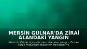 Mersin Gülnar'da Zirai Alandaki Yangın Kontrol Altına Alındı