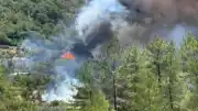 Muğla Göcek'te Orman Yangını: Ekiplerin Müdahalesi Sürüyor