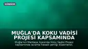 Muğla'da Koku Vadisi Projesi Kapsamında Lavanta Hasadı Başladı