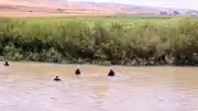 Muş Bulanık'ta Kocasu Çayı'na Düşen Çocuklardan Biri Hayatını Kaybetti, Diğeri Aranıyor
