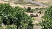 Muş'ta Piknik Yolunda Traktör Römorku Uçuruma Yuvarlandı: 1 Ölü, 23 Yaralı